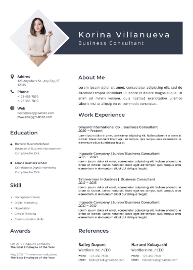 Professional CV Sample 42